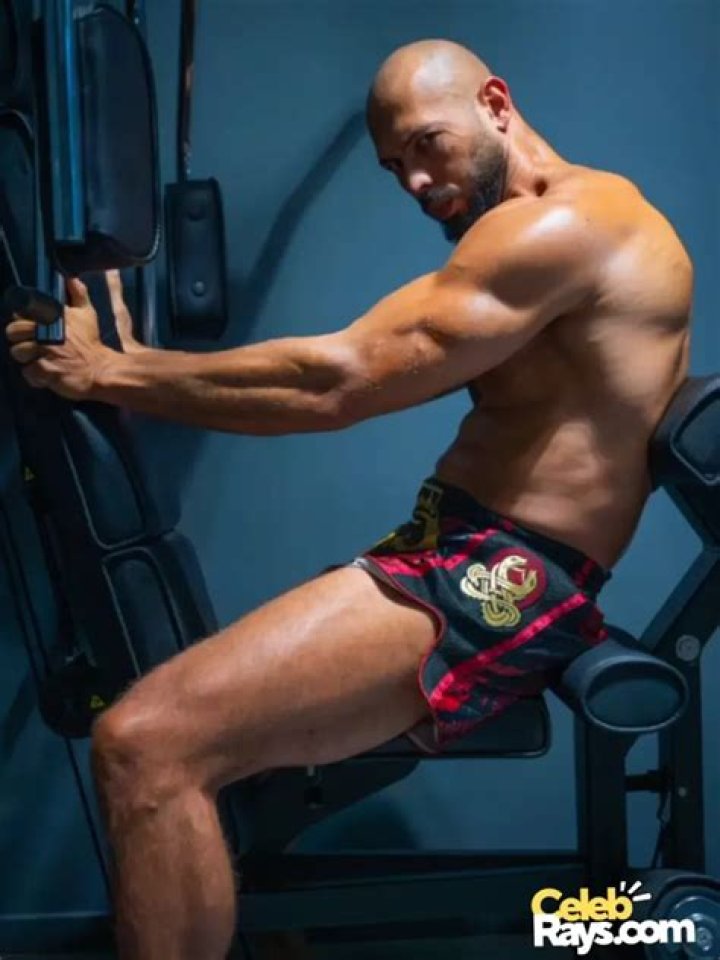 Andrew Tate Bio (Wiki) 