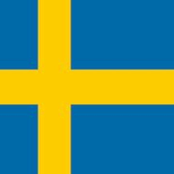 Angelica Larsson - Age, Family, Bio