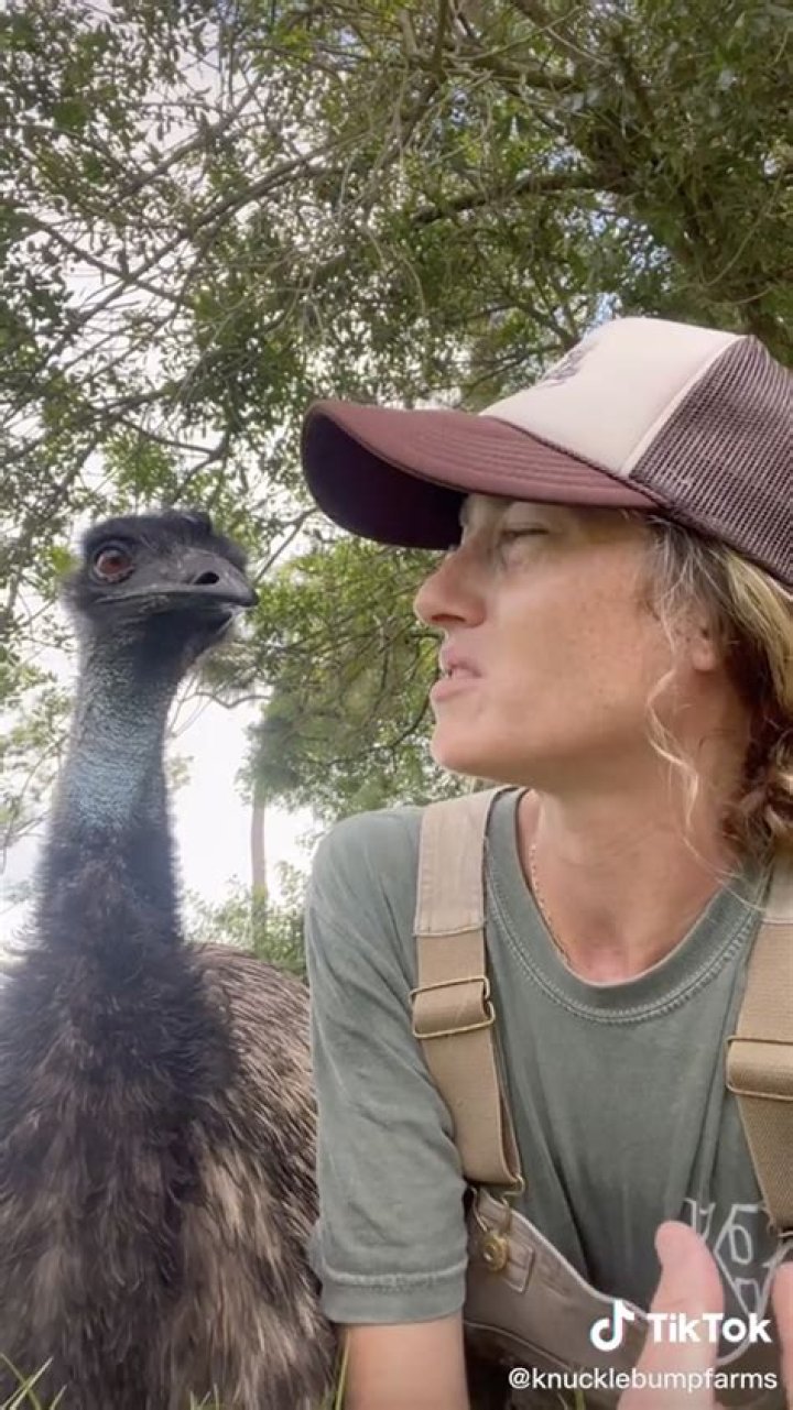 
Bindi Irwin Replies to Plea for Help from Owner of Ailing Emmanuel the Emu: ‘Our Hearts Are with You’ 