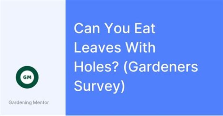 Can you eat leaves with holes?