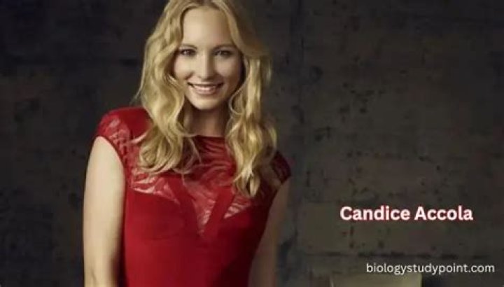 Candice Accola Bio (Wiki) 