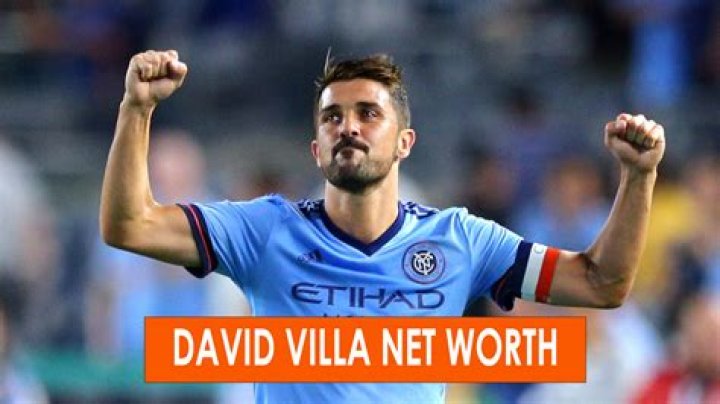David Villa Net Worth - Wiki, Age, Weight and Height, Relationships, Family, and More