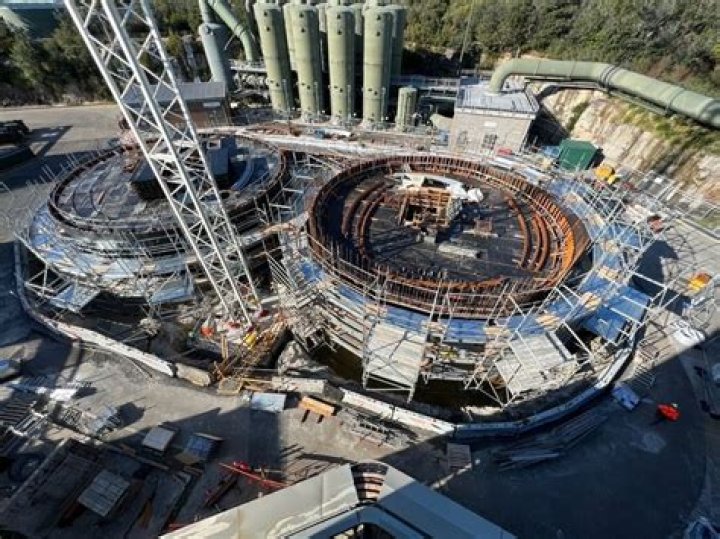 Dena Head Bio (Wiki) 