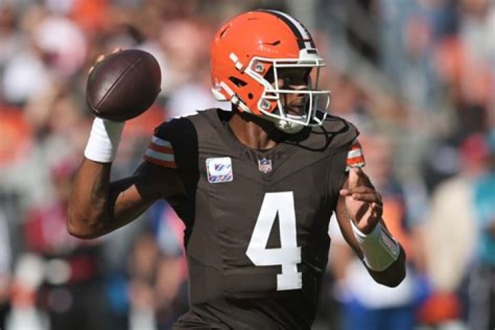 Deshaun Watson Bio (Wiki) 