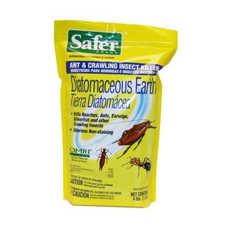 Does Lowe’s carry diatomaceous earth?