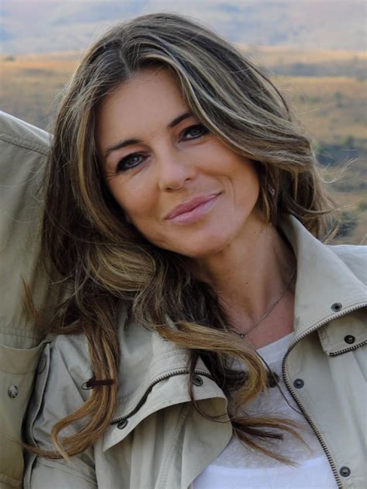 Elizabeth Hurley Bio (Wiki) 