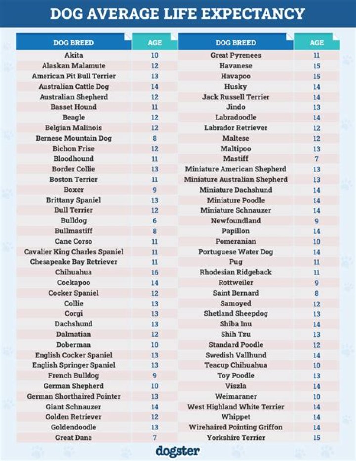 Gloss Russell - Age, Family, Bio