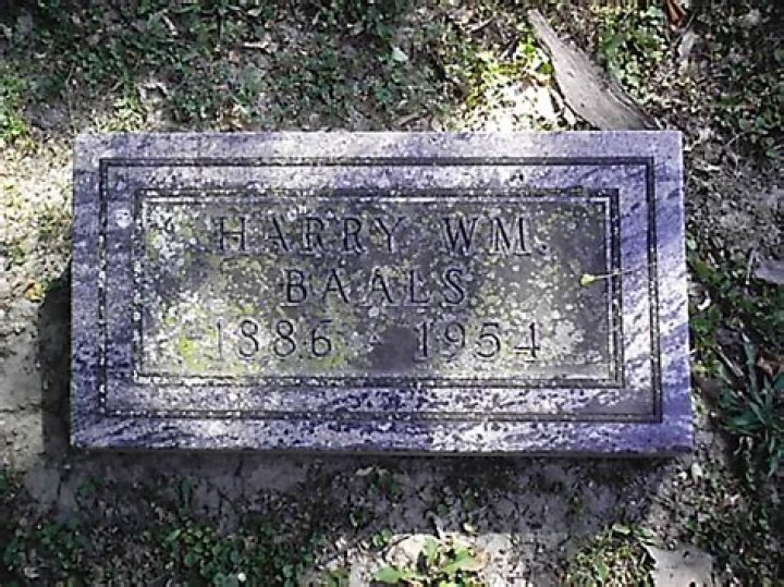 Harry Baals - Trivia, Family, Bio