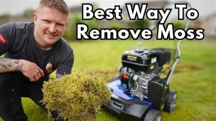 How do you clean moss off rocks?