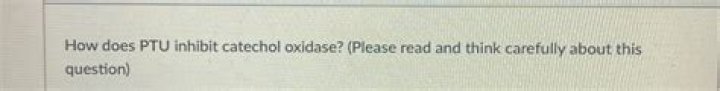 How does PTU inhibit catechol oxidase?