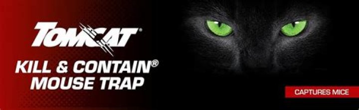 How does Tomcat kill and contain work?