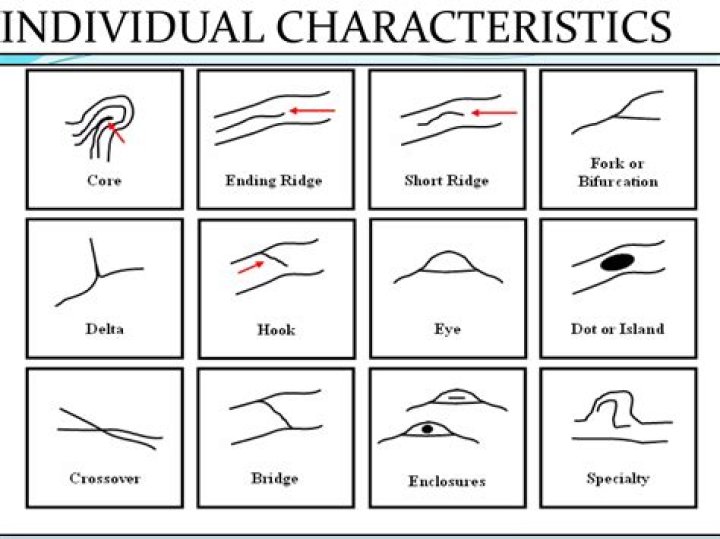How much do latent print examiners make?