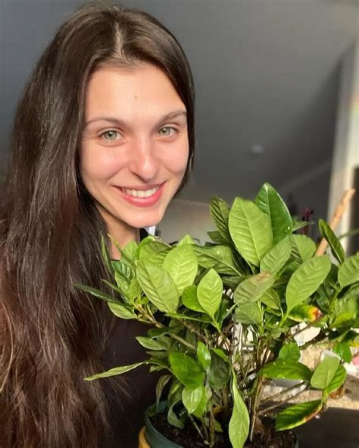 Irv Gotti Bio (Wiki) 