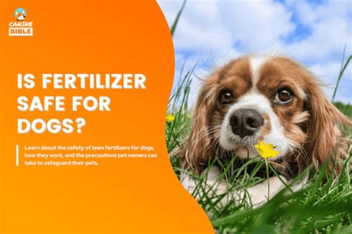 Is fertilizer toxic to dogs?