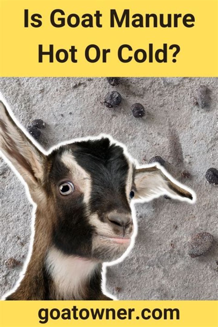 Is goat manure hot or cold?