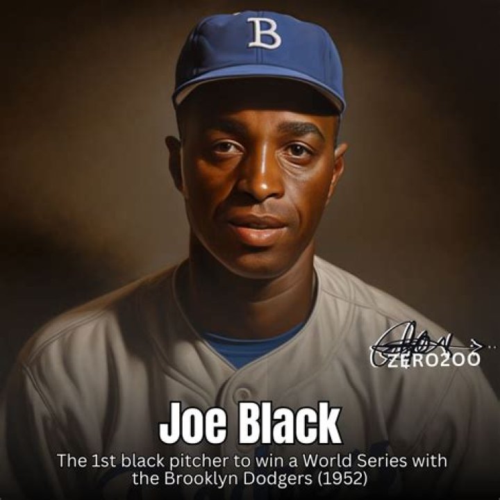 Joe Black (Baseball Player) - Trivia, Family, Bio