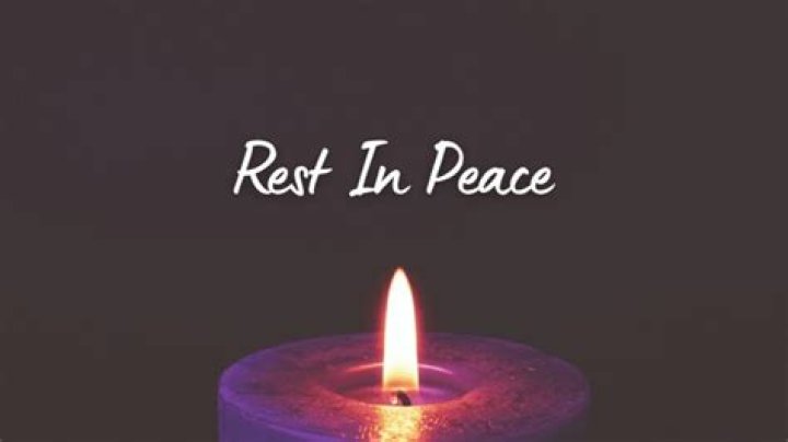 Limerick Susan Fitzpatrick Accident Linked To Death Cause And Obituary Family Mourns