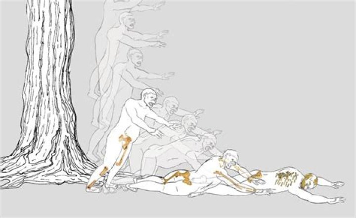 
Lucy Reff Cause Of Death, How Did Lucy Die? 