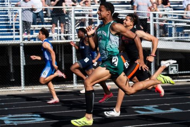 Magnus Mitchell Handelman Bio (Wiki) 