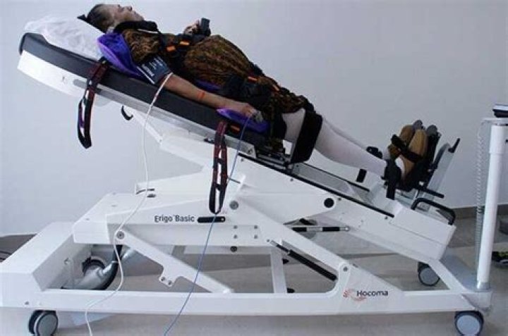 Marama Corlett Bio (Wiki) 