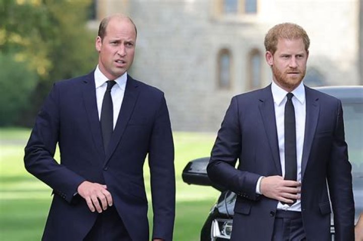 Nick Bullen: Prince William & Harry need someone to broker ‘an intervention’