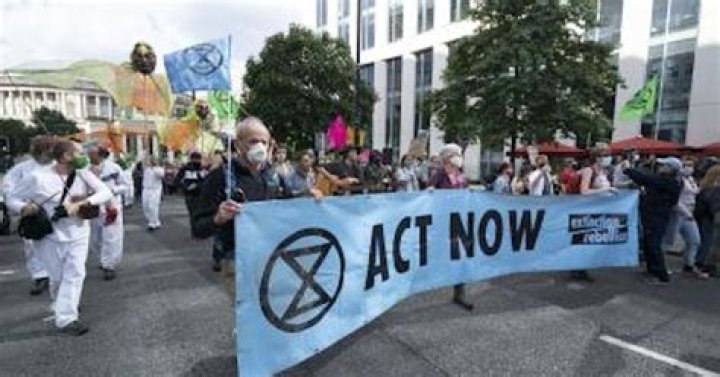 
One environment activist killed every two days globally: Report 