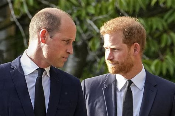 Royalist: Prince William ‘absolutely f–king hates’ Meghan & Harry now