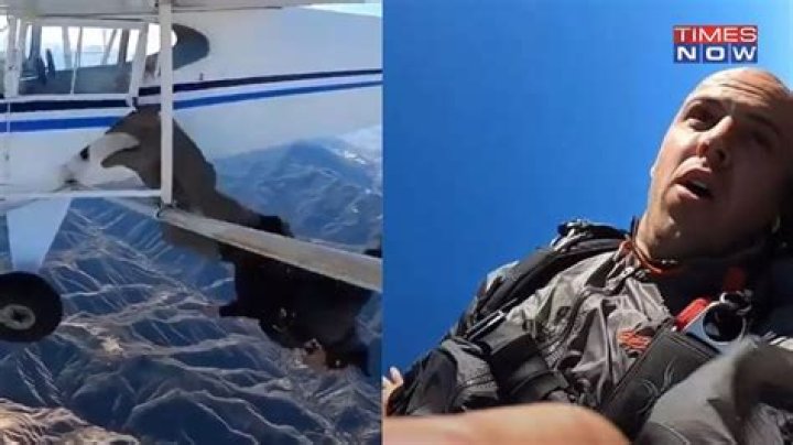 
Trevor Jacob Arrest After Youtuber Plane Crash Video Gone Viral 