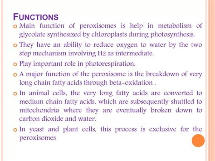 What are the functions of peroxisomes?