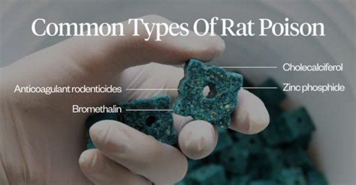 What element is rat poison?