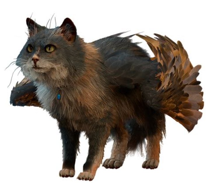 What is Tara VanderVeer salary?