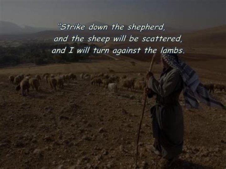 What is the meaning of “strike the shepherd and the sheep will scatter” (Zechariah 13:7)?