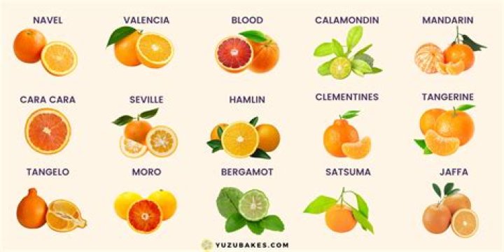 What is the season for California navel oranges?