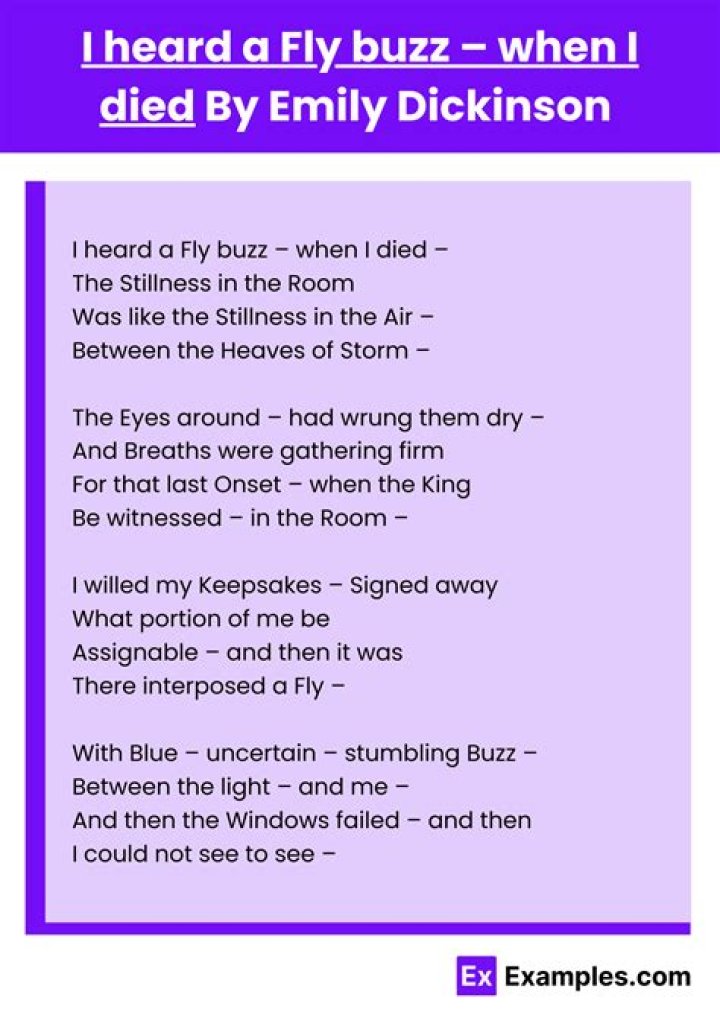 What statement about dying is Dickinson making in I heard a fly buzz when I died?