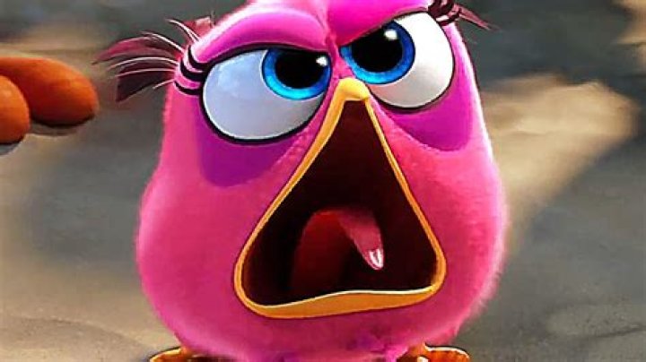Who plays the pink bird in Angry Birds movie?