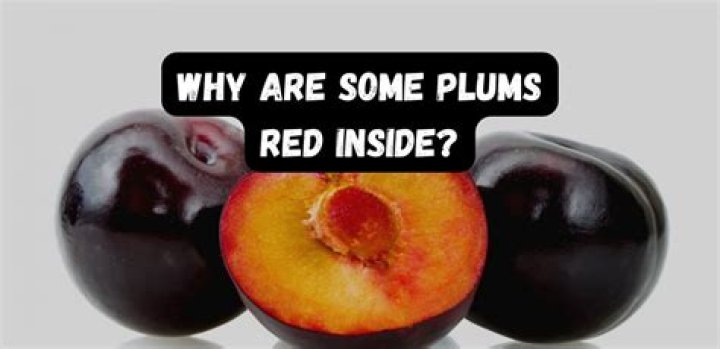 Why are some plums red inside?