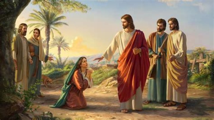 Why did Jesus call the Canaanite woman a dog?