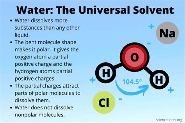 Why is water an excellent solvent?